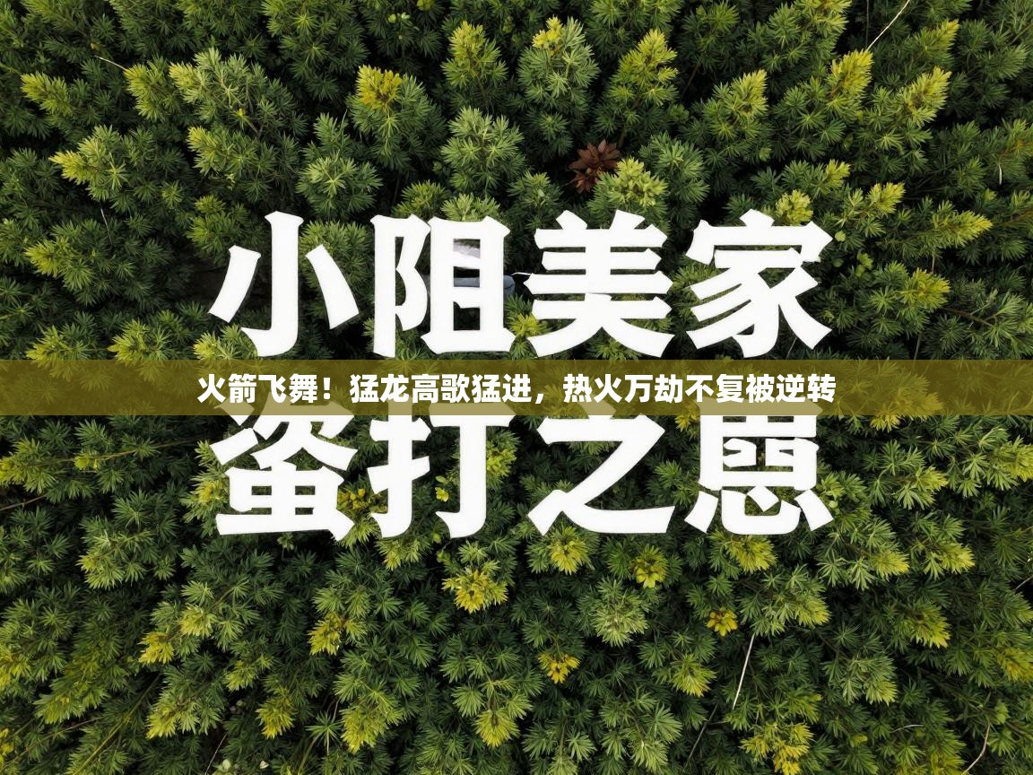 火箭飞舞！猛龙高歌猛进，热火万劫不复被逆转  第2张