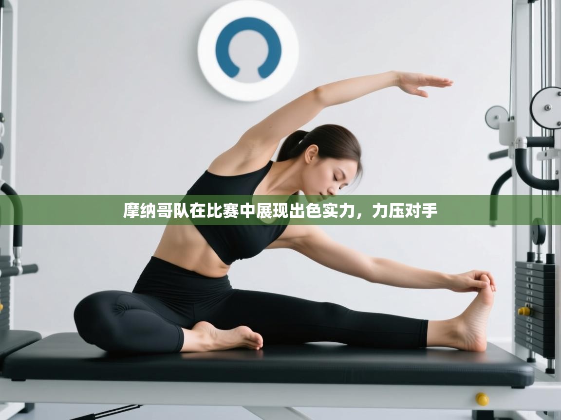 摩纳哥队在比赛中展现出色实力，力压对手  第1张